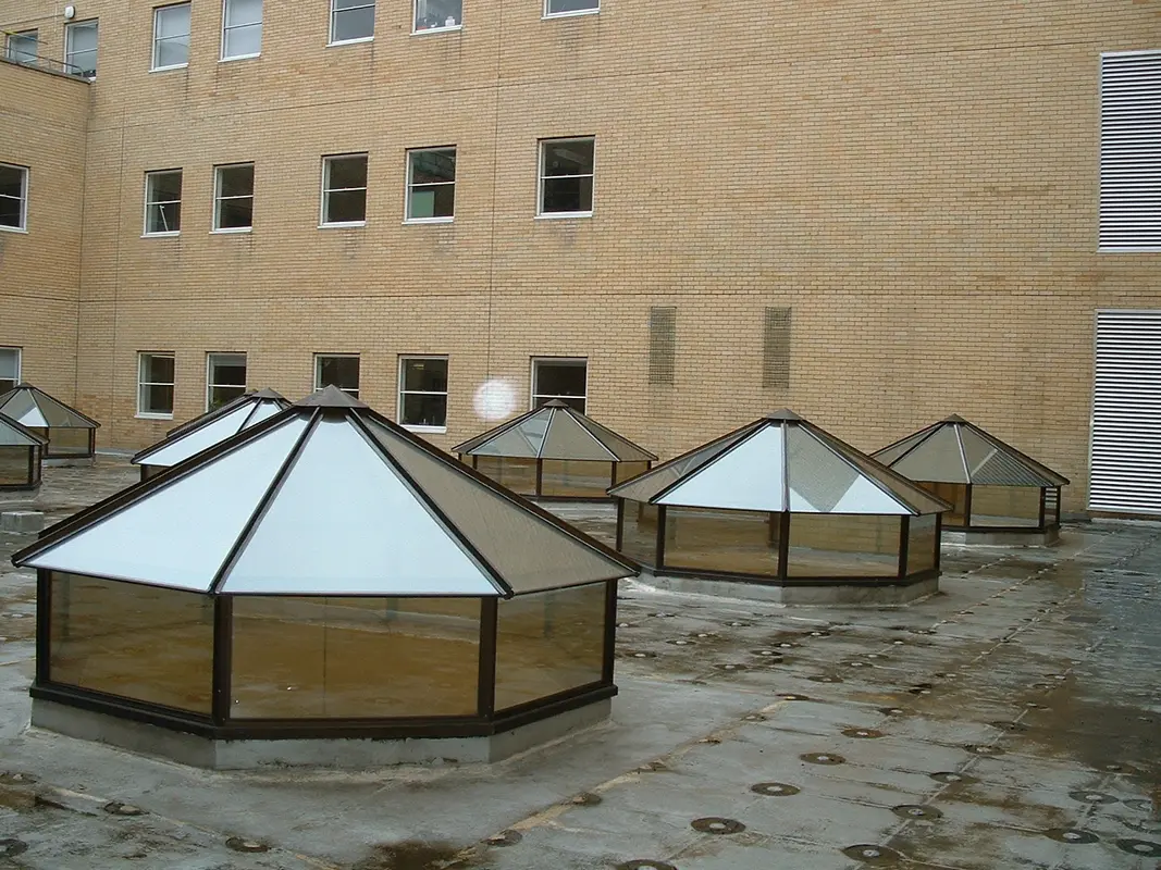 Flat Roof Skylights West Kensington
